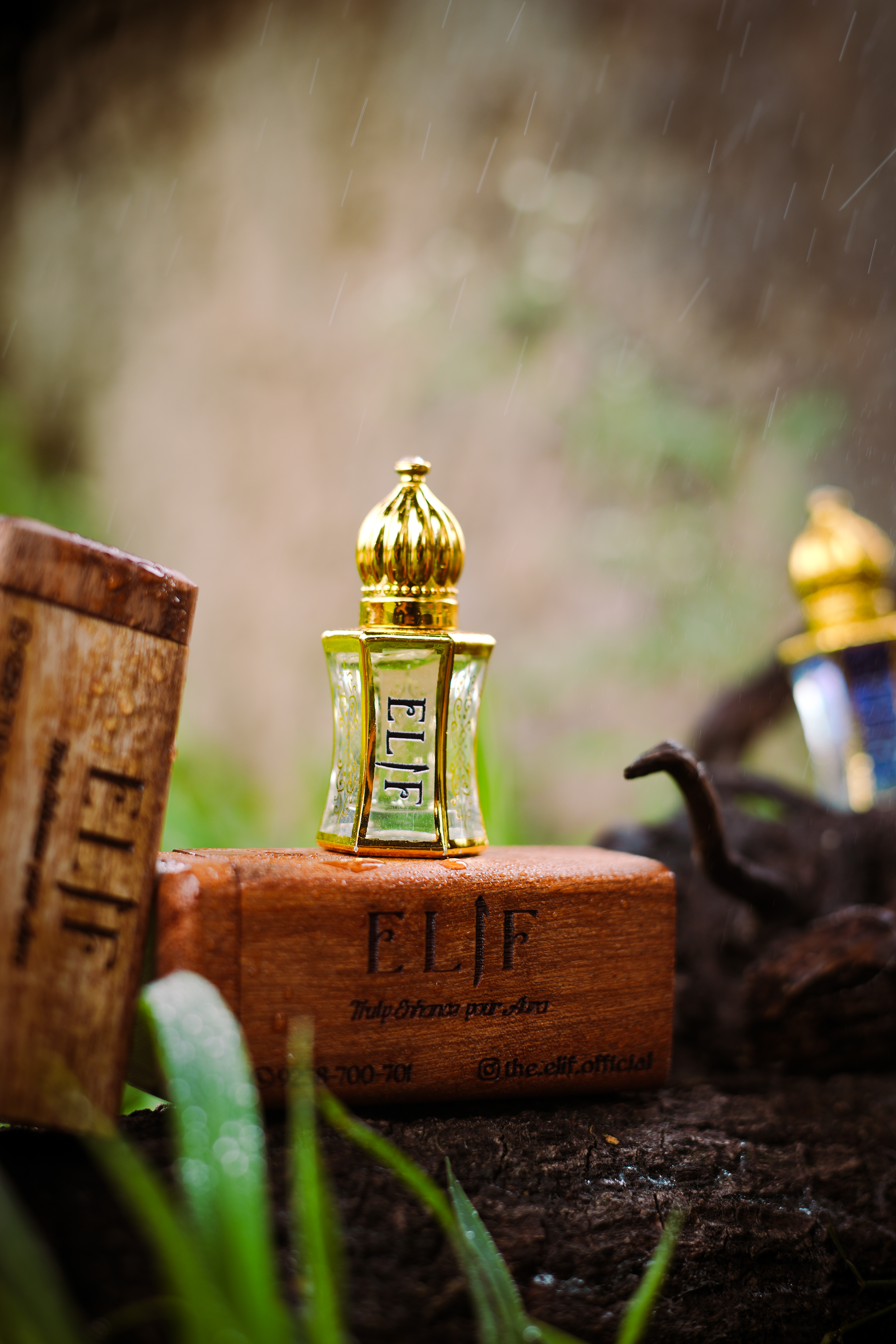 Elif attar graphic 1